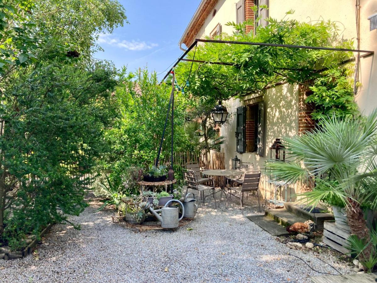 16 Bis-Gite-Hotel-Studio Marssac-sur-Tarn Eksteriør bilde